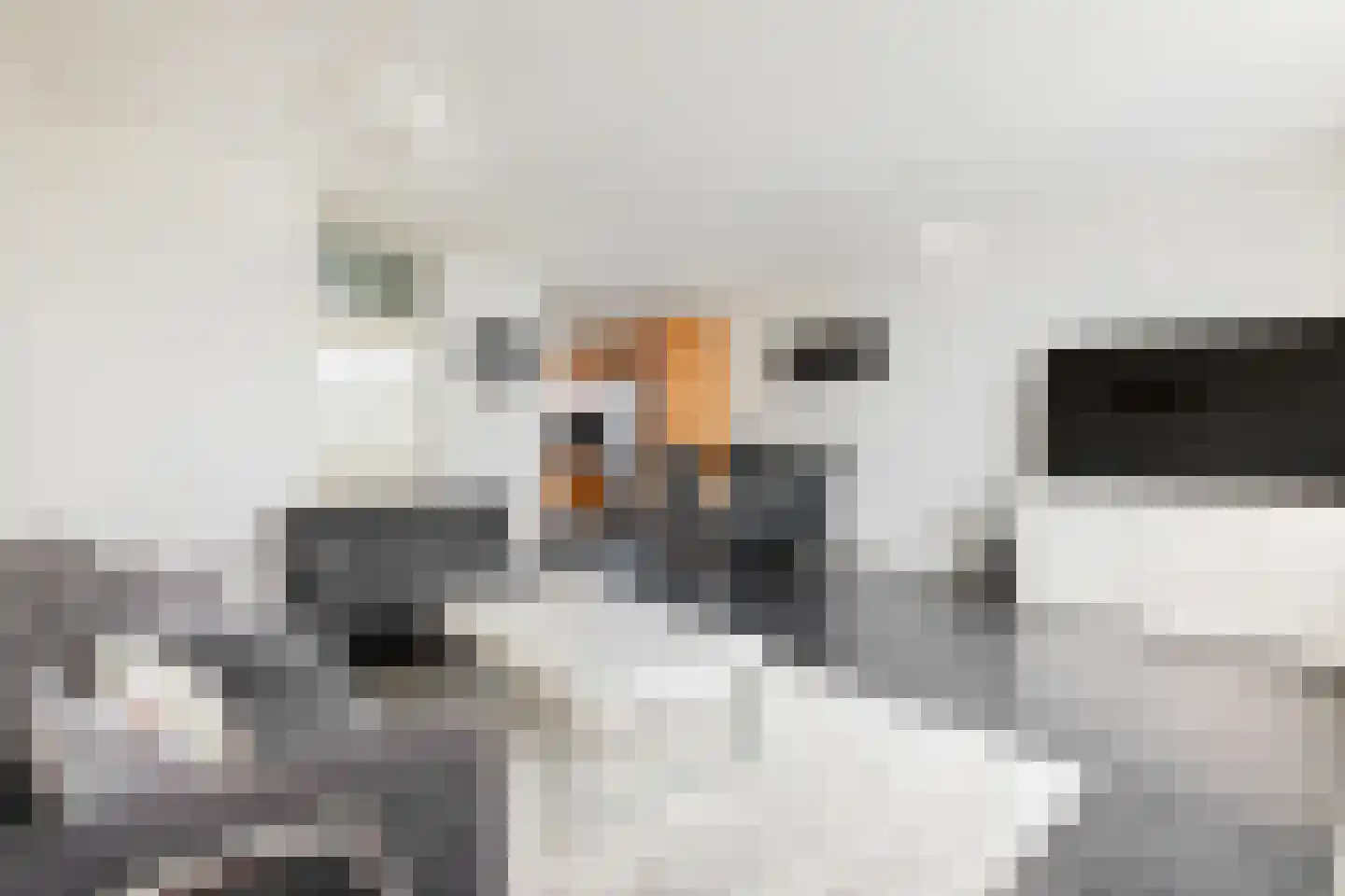 Eilardaheerd 55 Groningen thumbnail 8