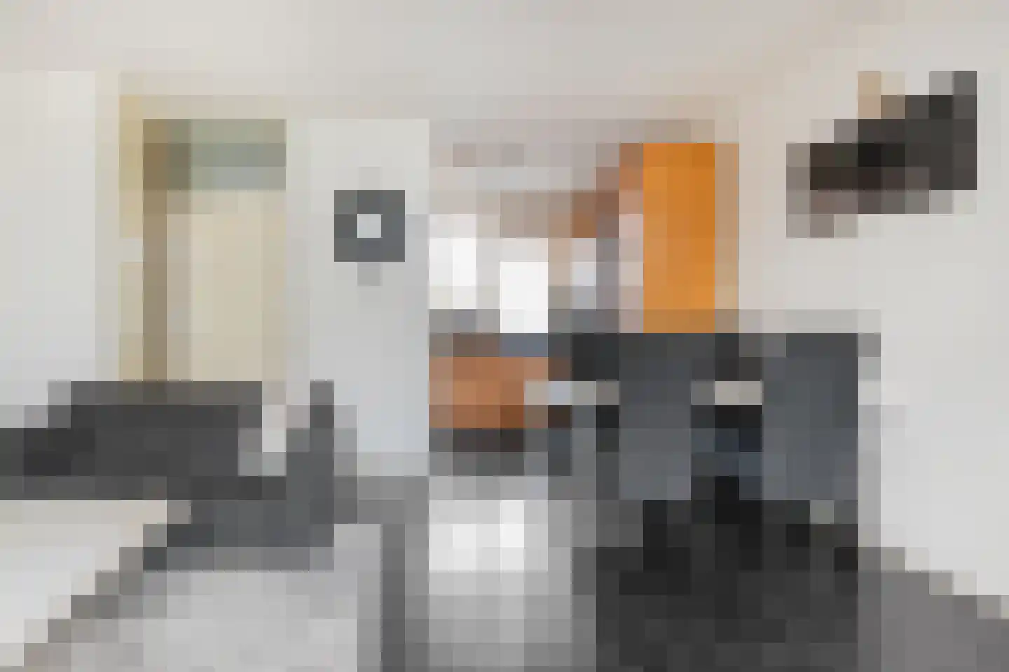 Eilardaheerd 55 Groningen thumbnail 9