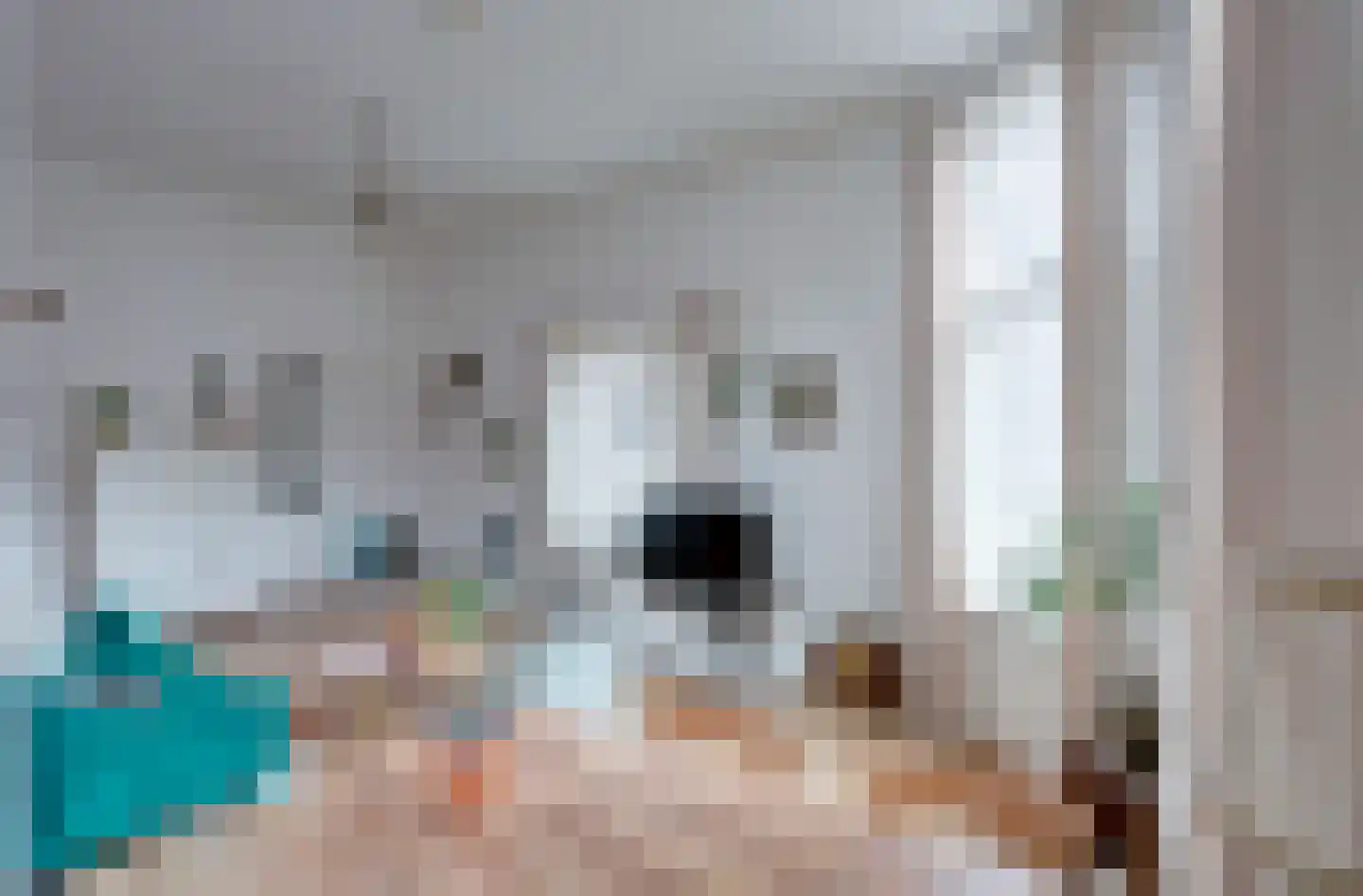 Eilbrachtstraat 1 Nijmegen thumbnail 13