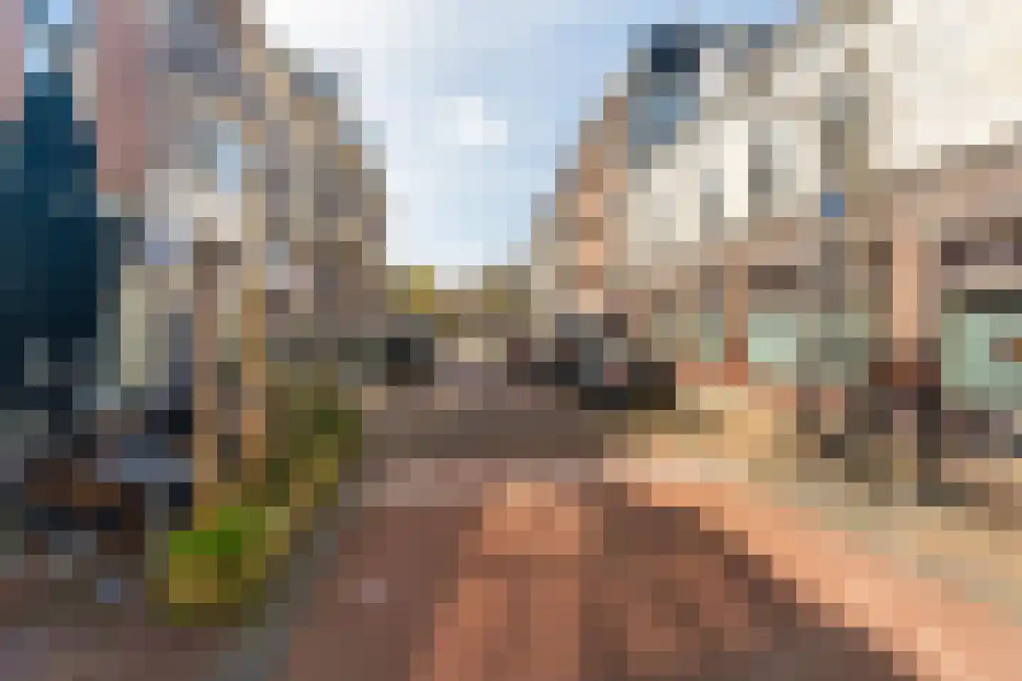 Eilbrachtstraat 6 Nijmegen thumbnail 29