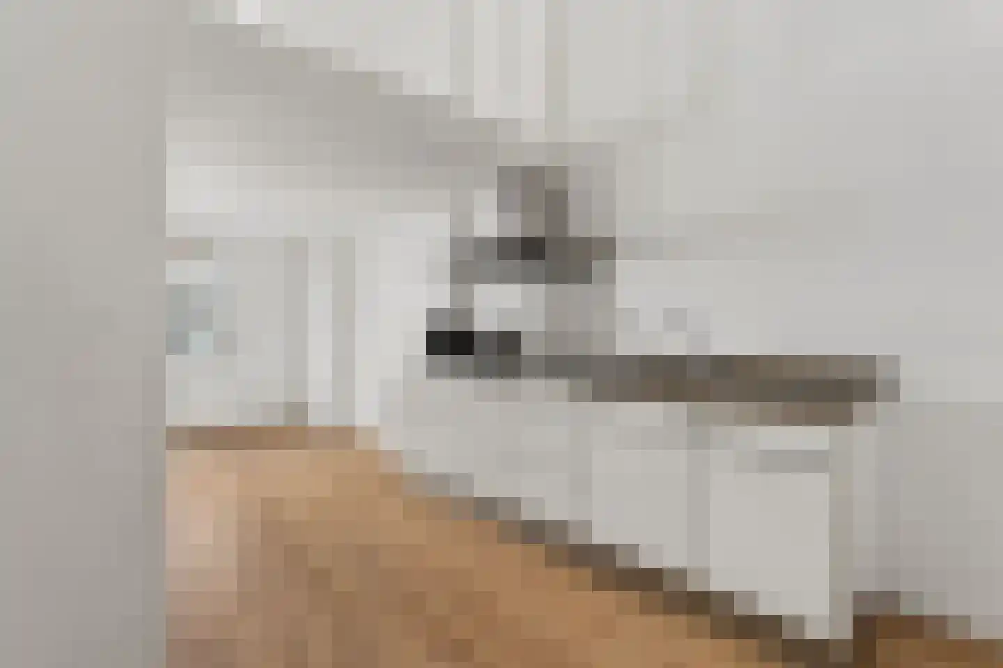 Eilbrachtstraat 6 Nijmegen thumbnail 7