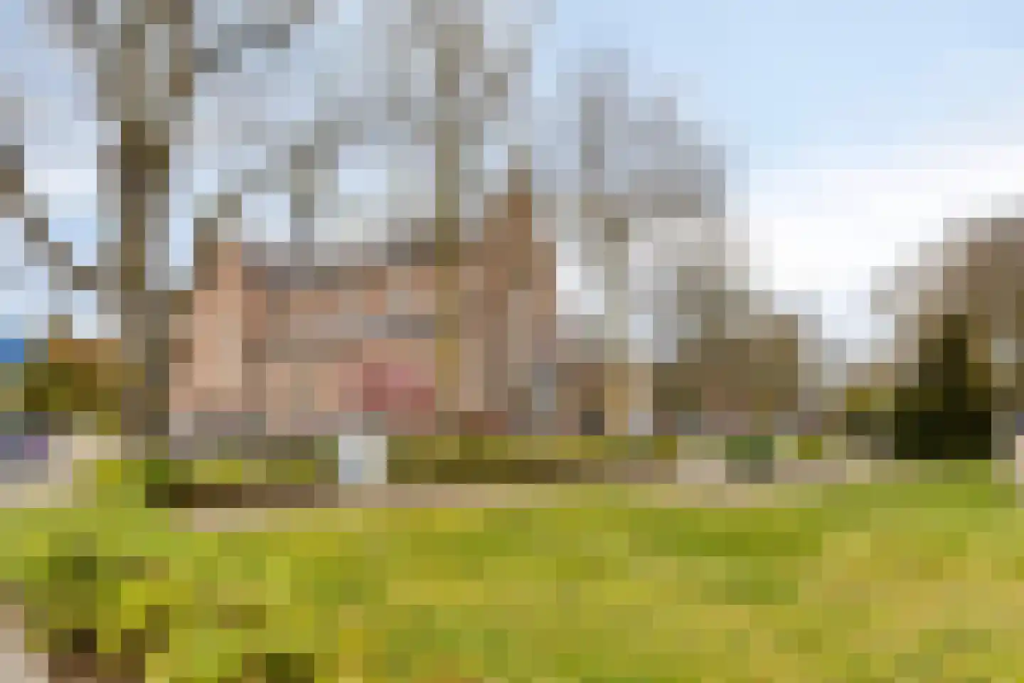 Eilenbergstraat 41 Tilburg thumbnail 39