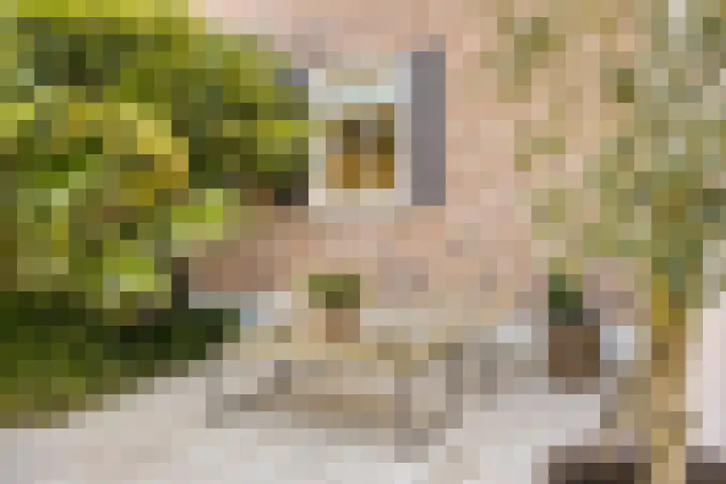 Eimbrink 1 Kampen thumbnail 101