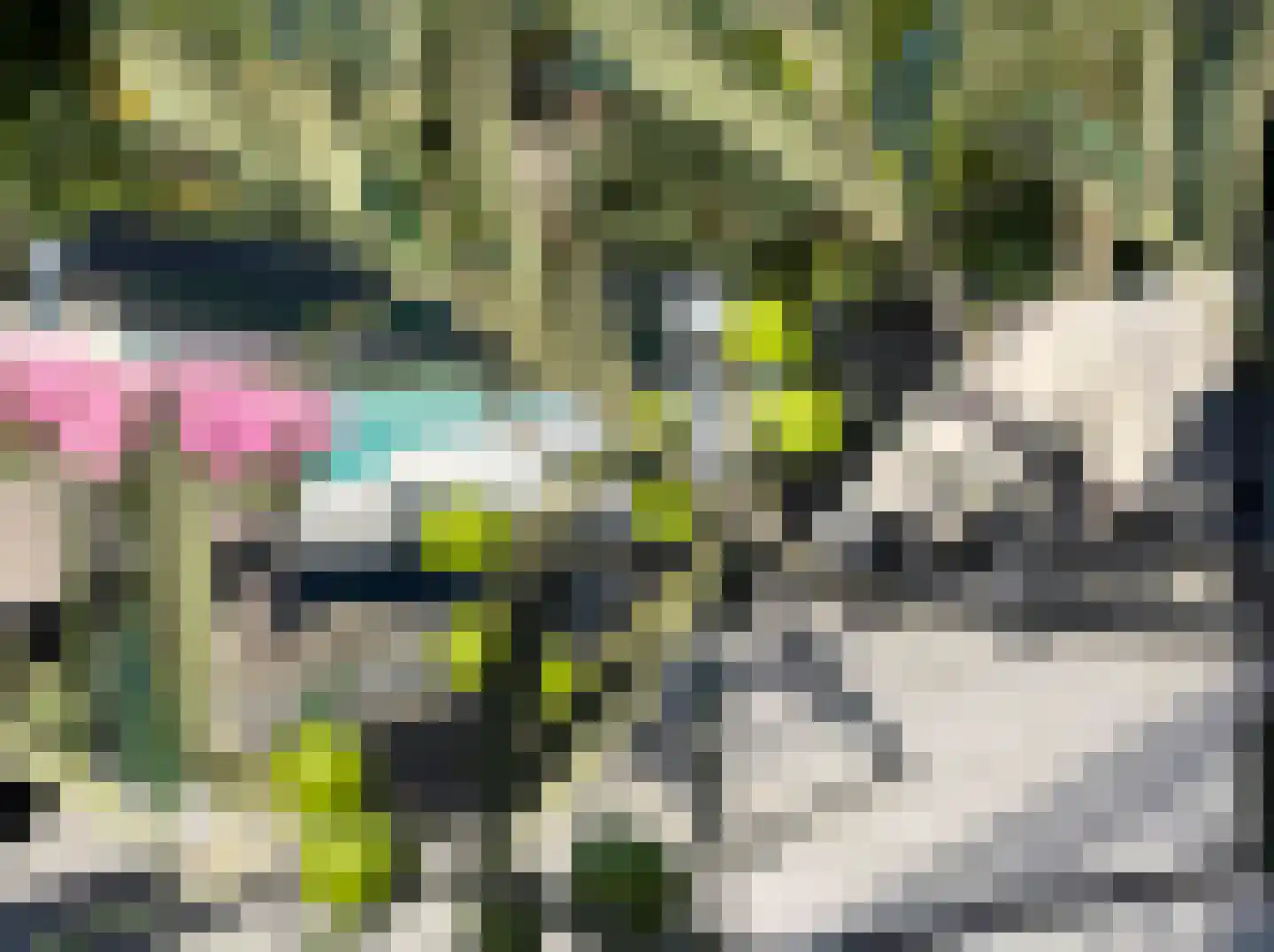 Eimbrink 1 Kampen thumbnail 15