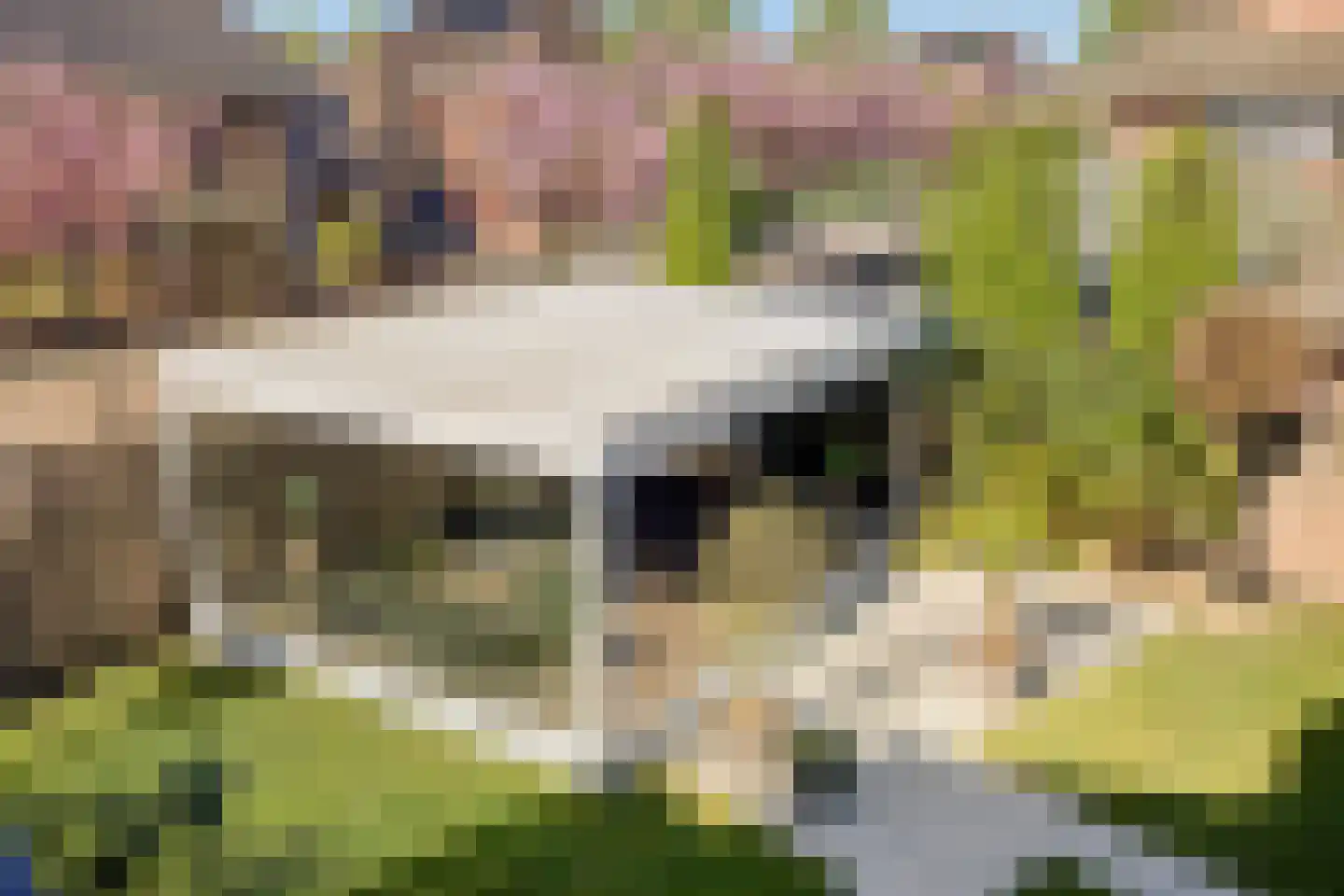 Eimbrink 1 Kampen thumbnail 16