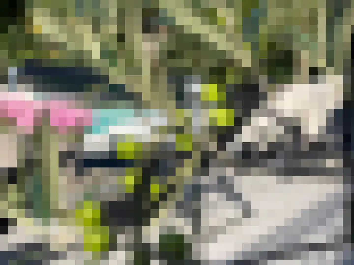 Eimbrink 1 Kampen thumbnail 17