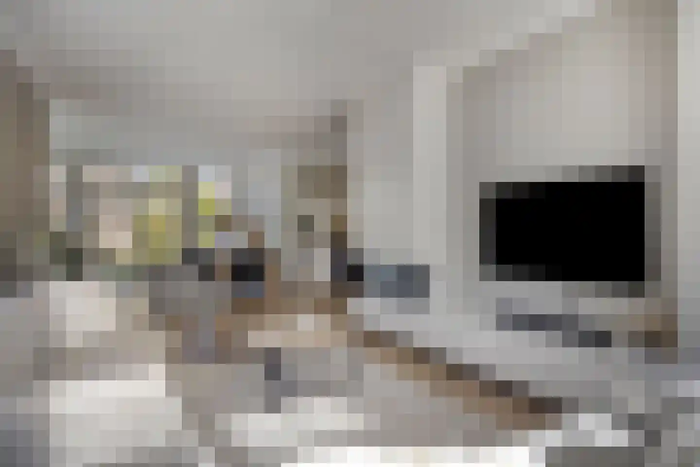 Eimbrink 1 Kampen thumbnail 33