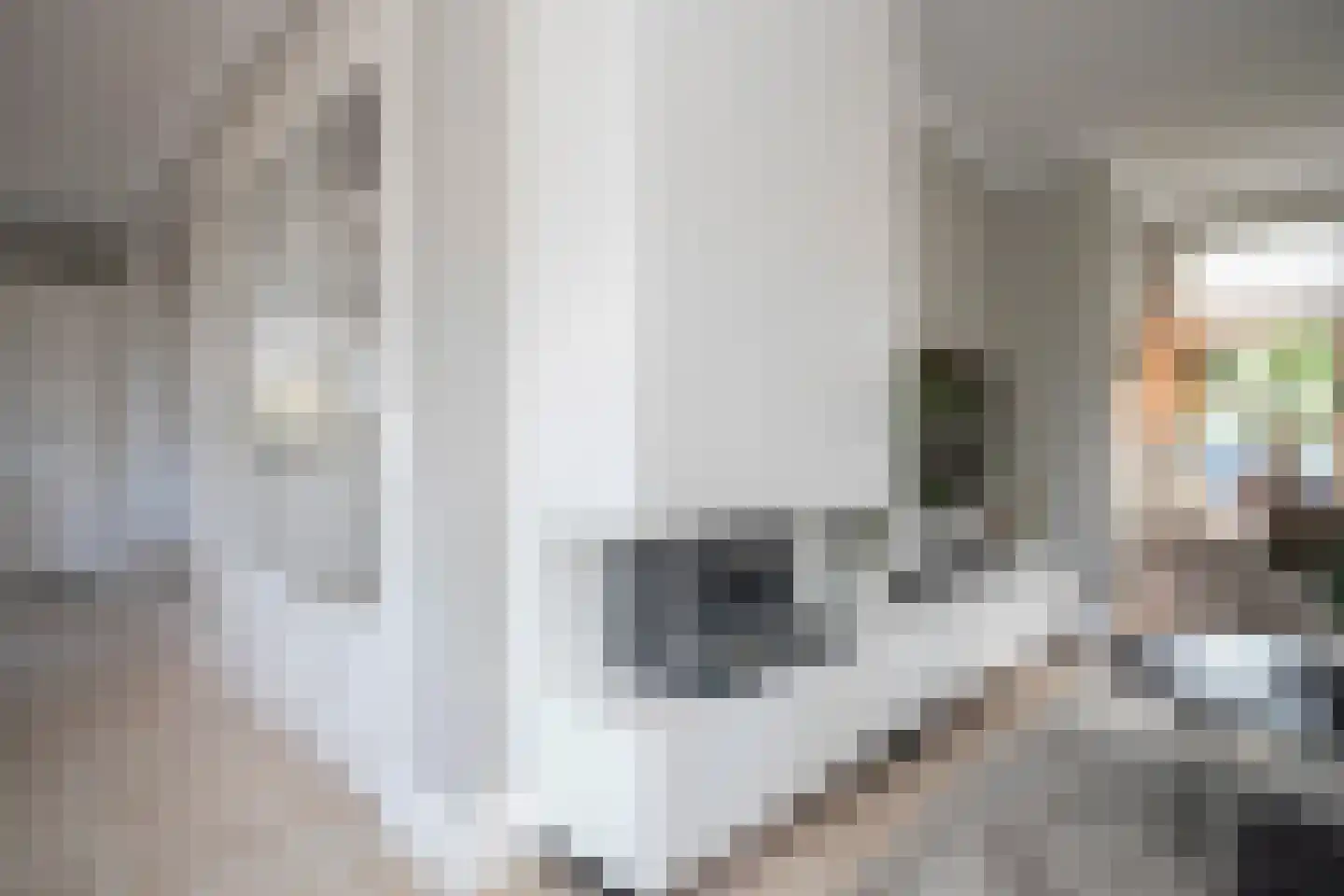 Eimbrink 1 Kampen thumbnail 37