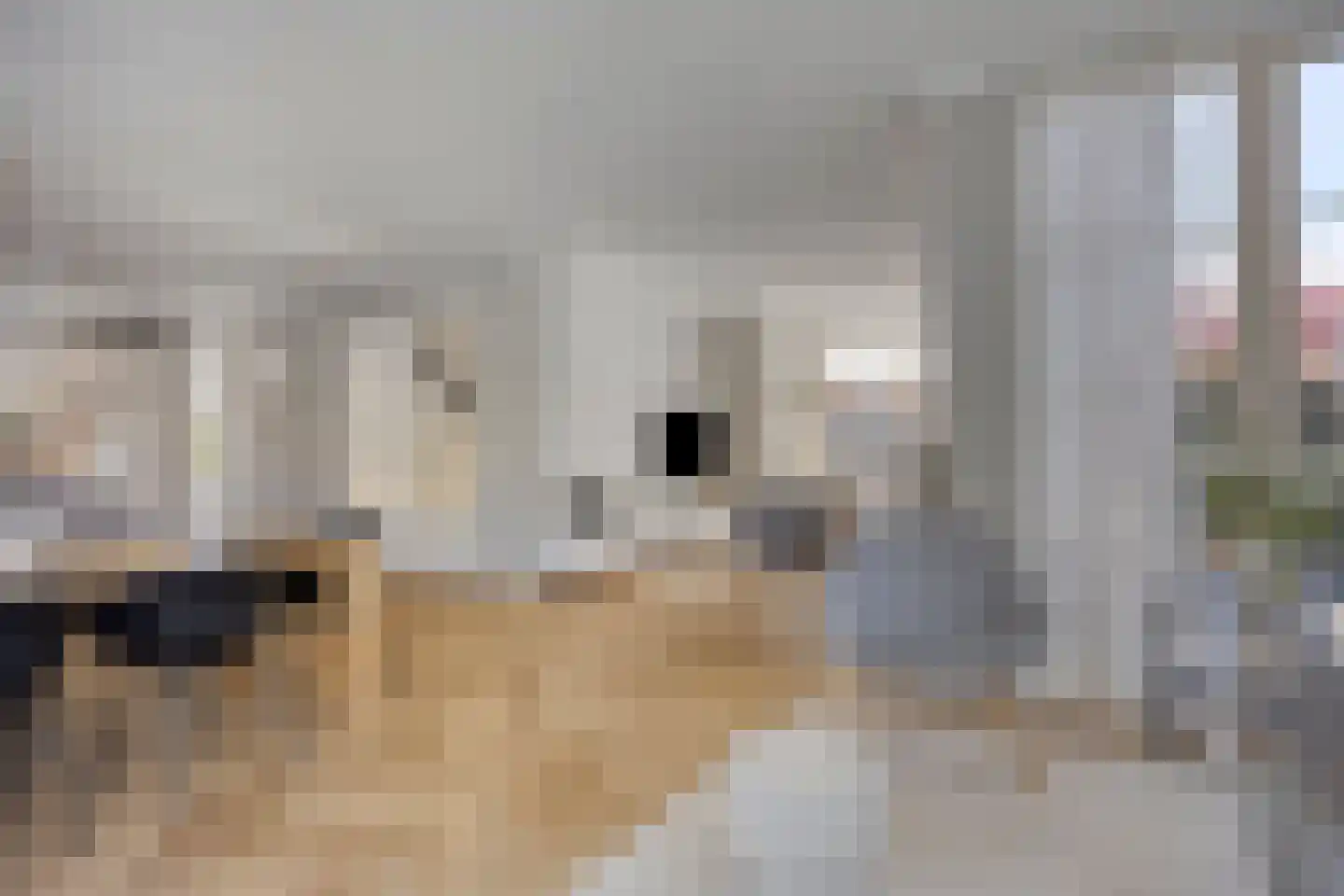 Eimbrink 1 Kampen thumbnail 38