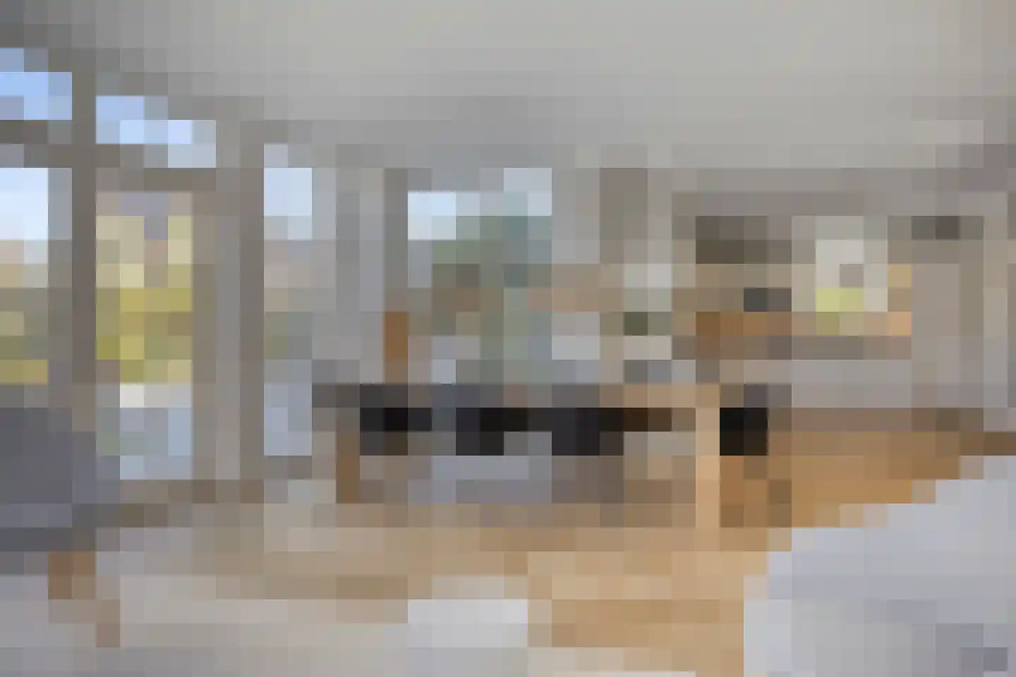 Eimbrink 1 Kampen thumbnail 39