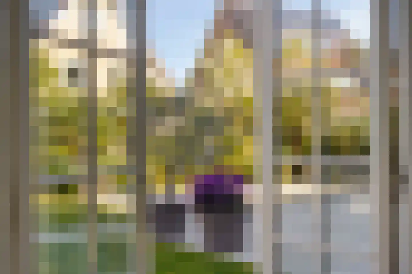 Eimbrink 1 Kampen thumbnail 45