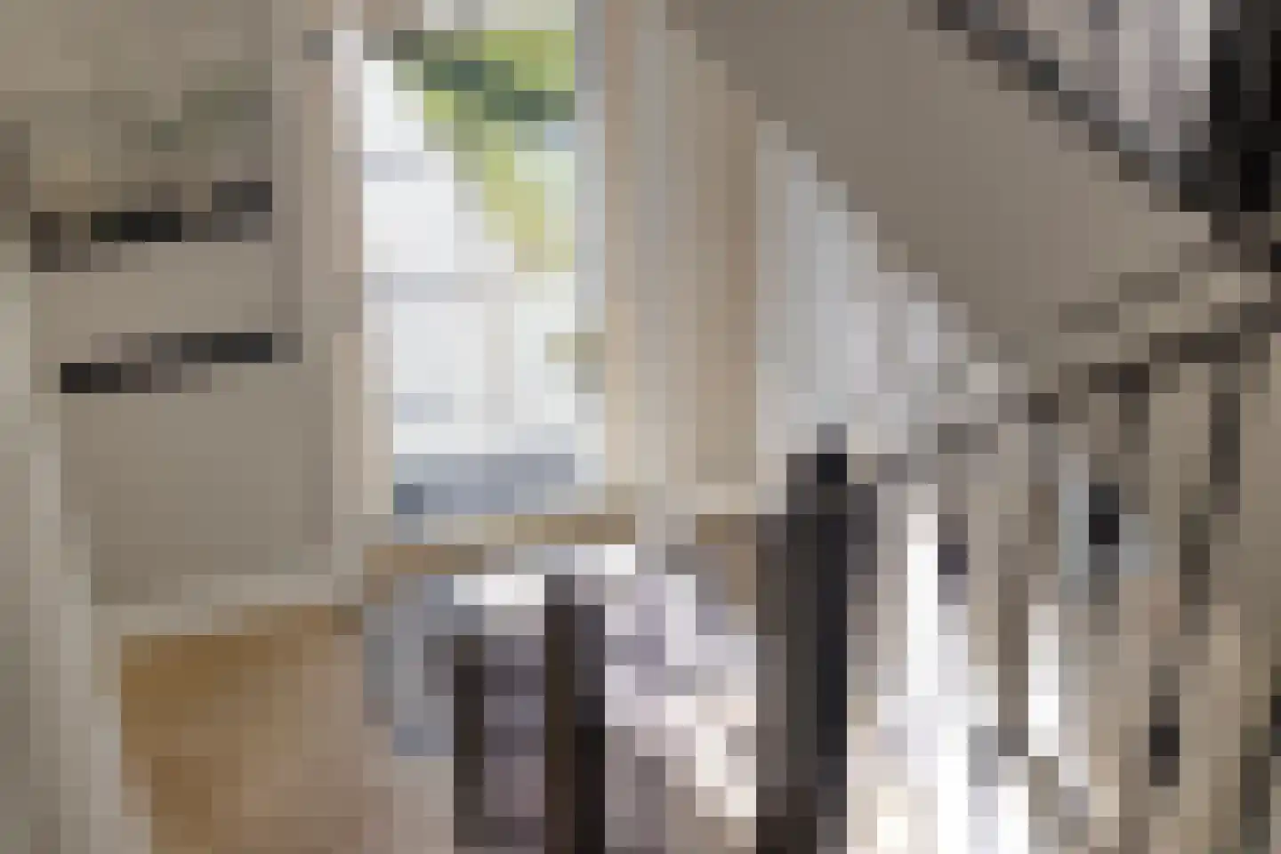 Eimbrink 1 Kampen thumbnail 59