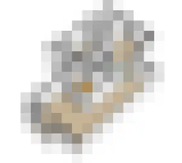 Eimbrink 11 Kampen thumbnail 18