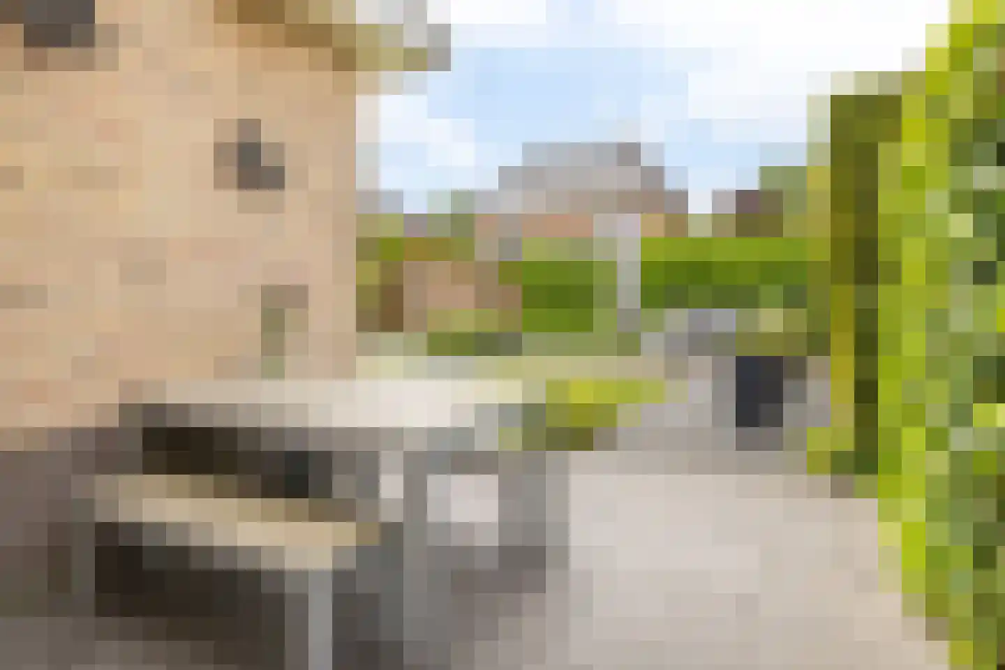 Eimbrink 11 Kampen thumbnail 37