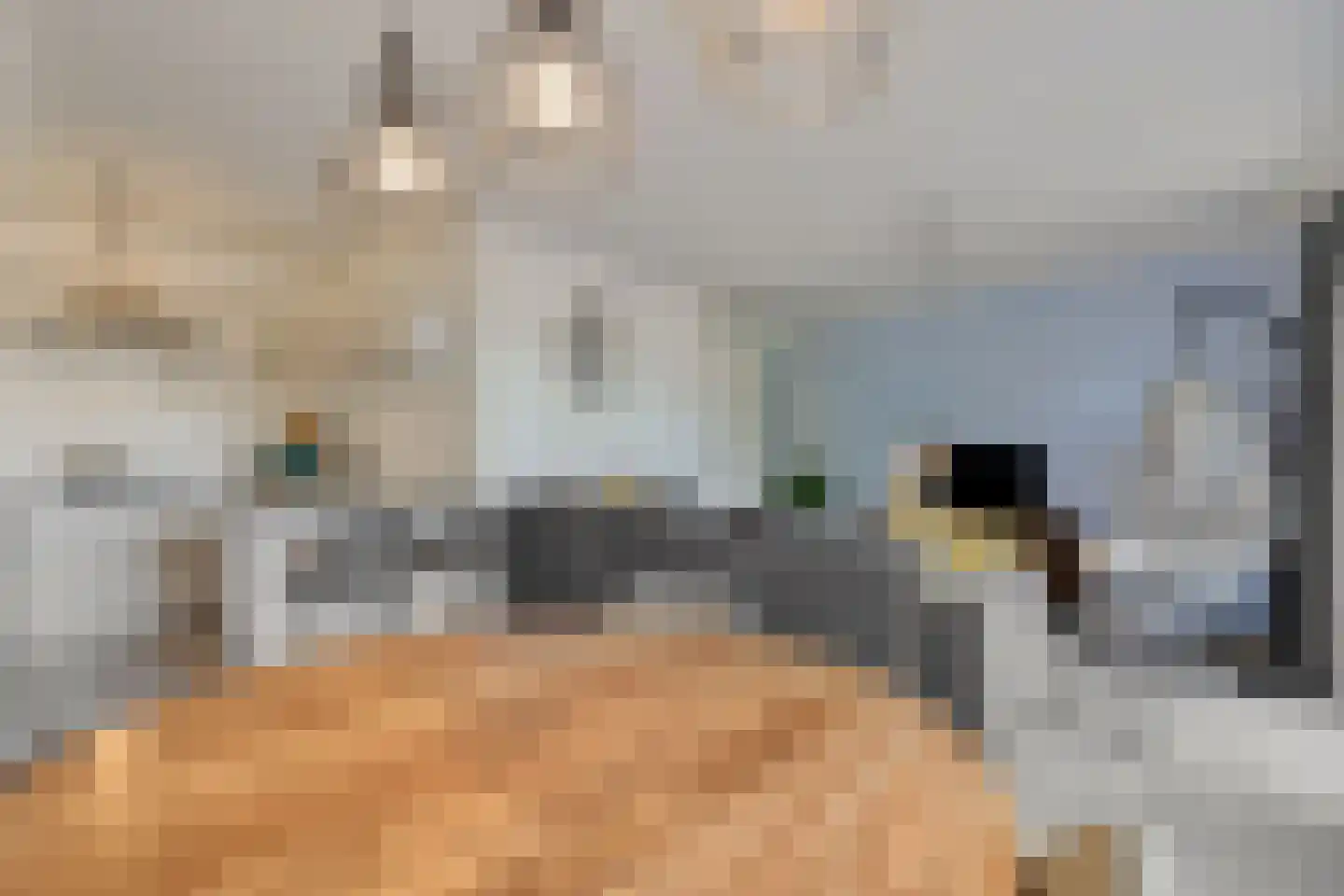 Eimeren 15 's-Hertogenbosch thumbnail 11