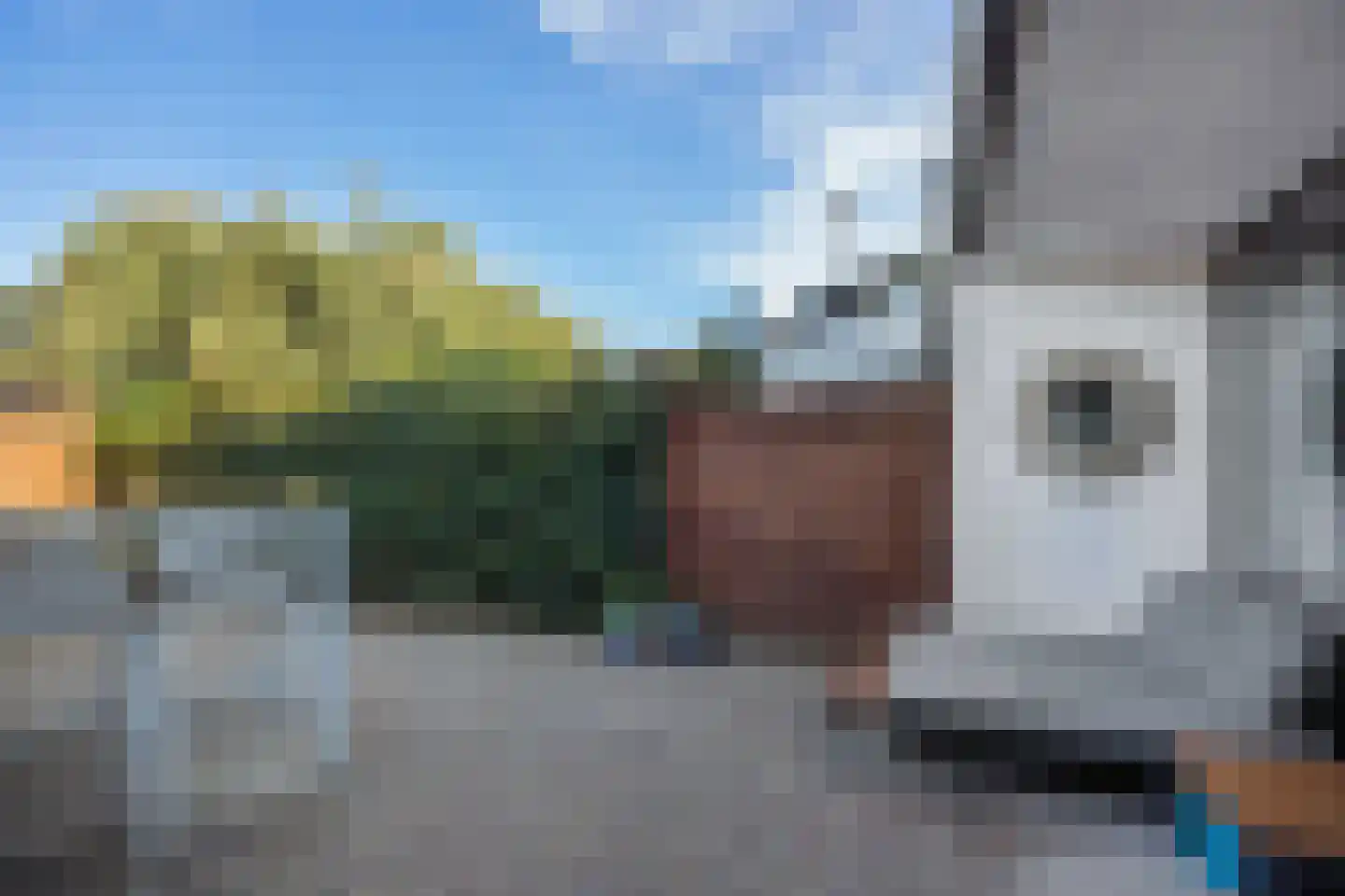 Eimeren 15 's-Hertogenbosch thumbnail 17
