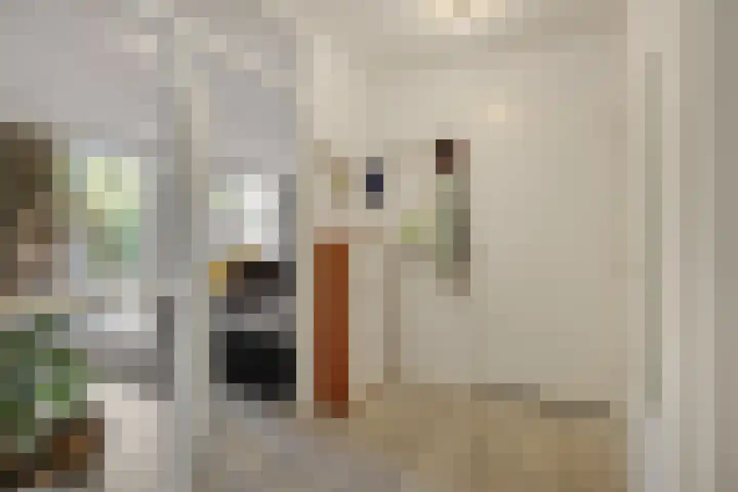 Eimeren 15 's-Hertogenbosch thumbnail 5