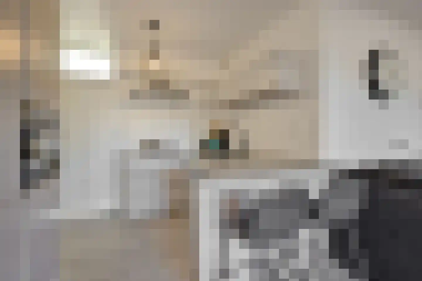 Eimeren 15 's-Hertogenbosch thumbnail 9