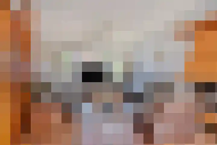 Eimerick 11 Eindhoven thumbnail 11