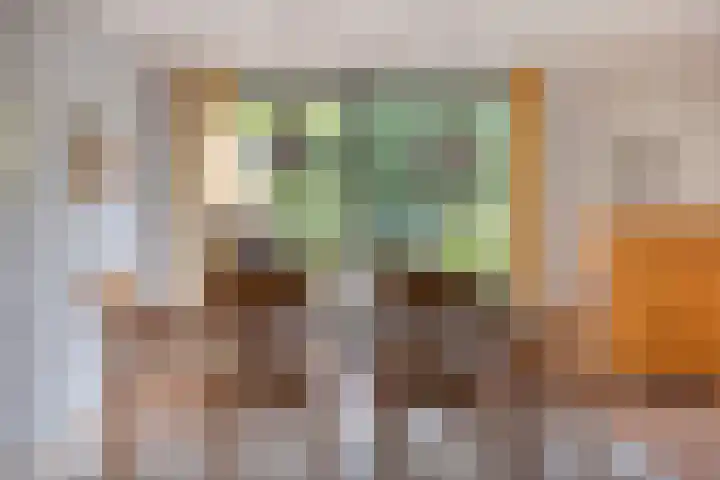 Eimerick 11 Eindhoven thumbnail 13