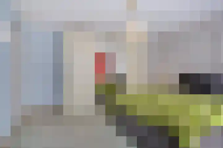 Eimerick 11 Eindhoven thumbnail 26