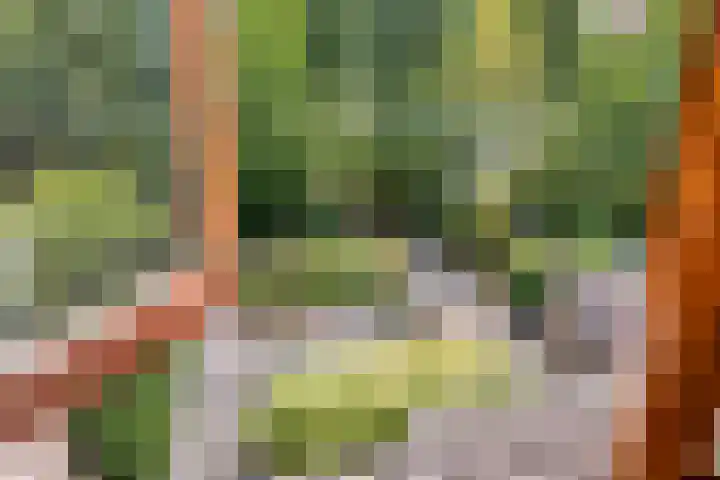 Eimerick 11 Eindhoven thumbnail 34