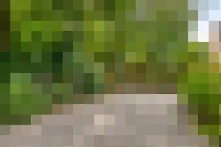 Eimerick 11 Eindhoven thumbnail 38