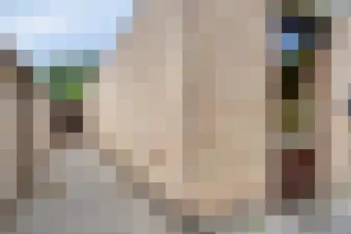 Eimerick 11 Eindhoven thumbnail 40