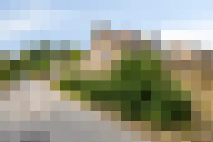 Eimerick 11 Eindhoven thumbnail 41