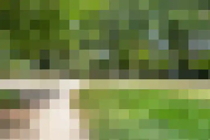 Eimerick 11 Eindhoven thumbnail 43