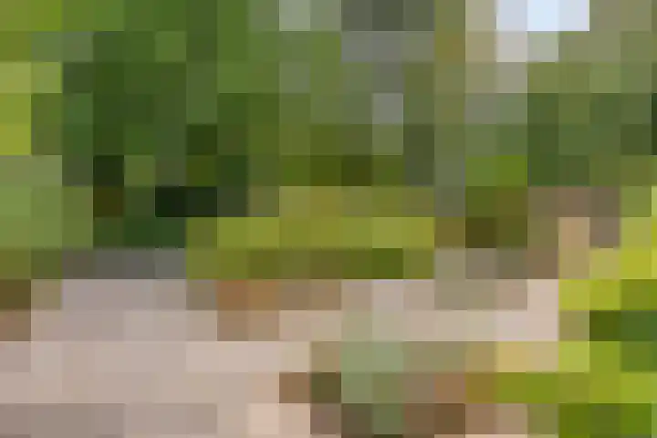 Eimerick 11 Eindhoven thumbnail 5