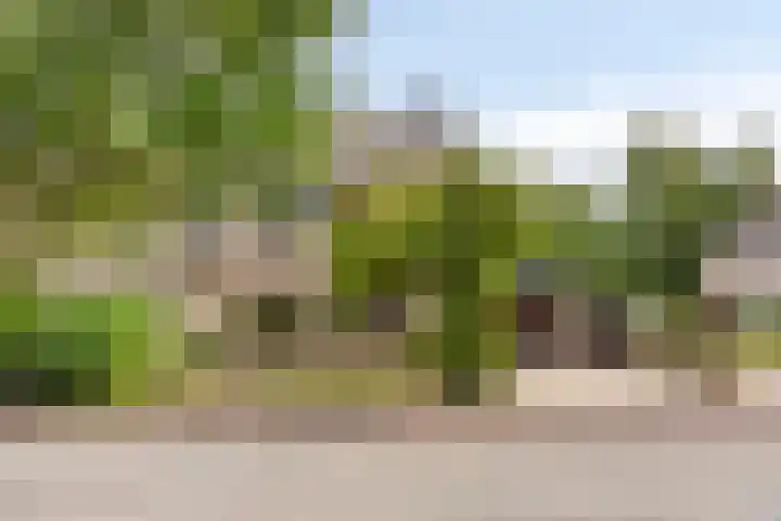 Eimerick 11 Eindhoven thumbnail 6