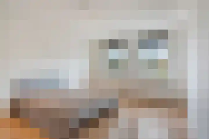 Eimerick 32 Eindhoven thumbnail 12