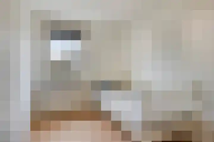 Eimerick 32 Eindhoven thumbnail 16