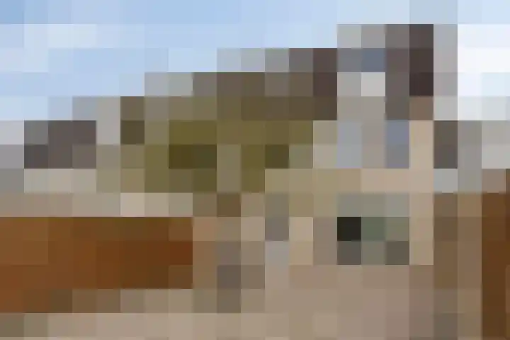 Eimerick 32 Eindhoven thumbnail 24