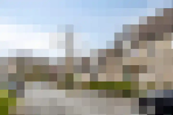 Eimerick 32 Eindhoven thumbnail 32