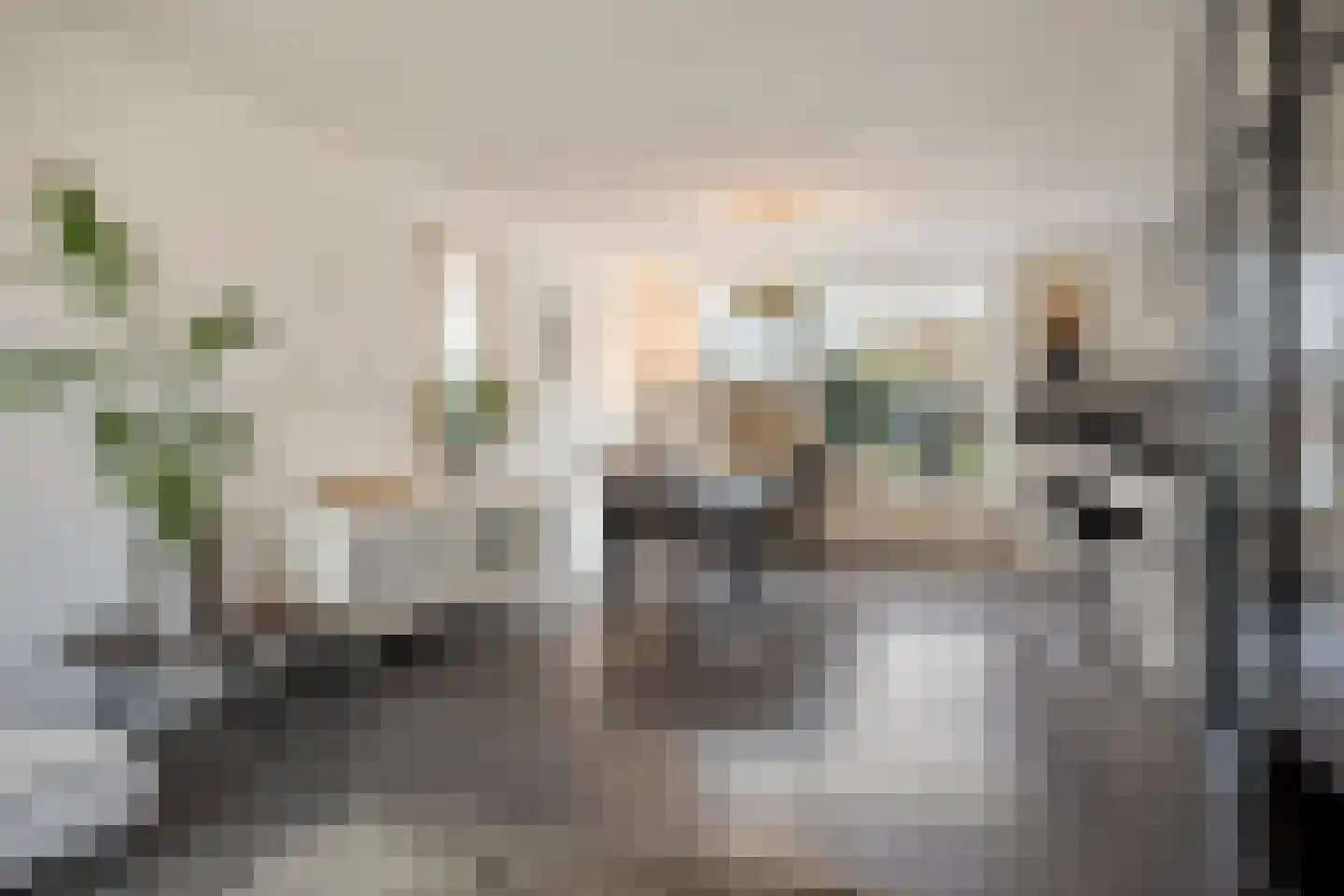 Eimerick 32 Eindhoven thumbnail 4