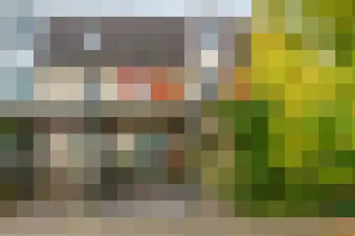 Eimerick 75 Eindhoven