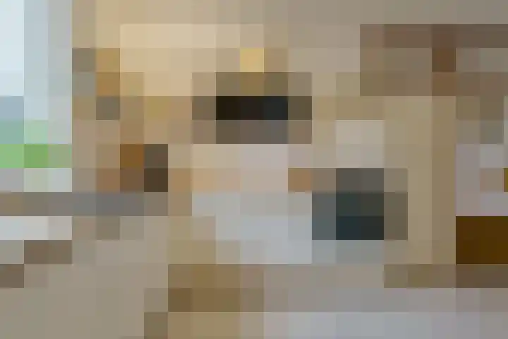 Eimerick 75 Eindhoven thumbnail 15