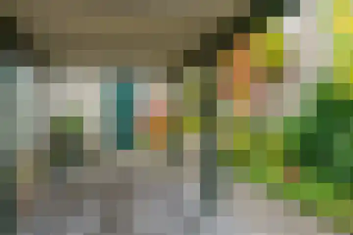 Eimerick 75 Eindhoven thumbnail 9