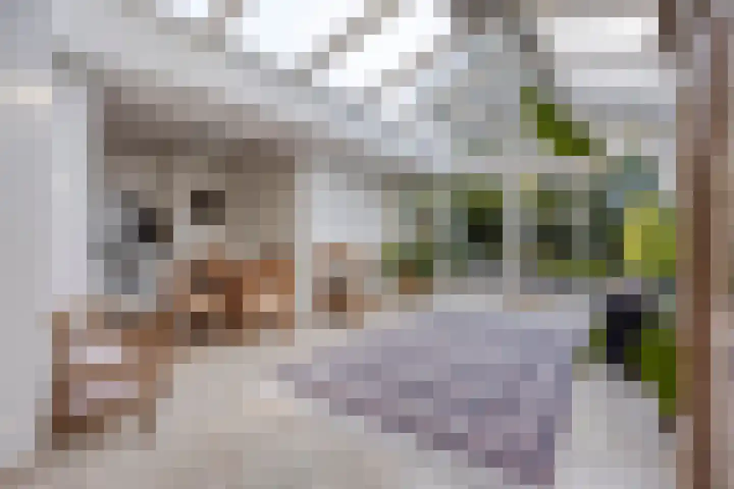 Eimerick 9 Eindhoven thumbnail 12