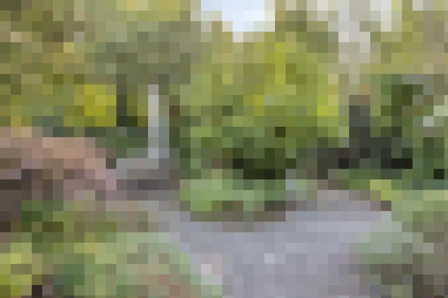 Eimerick 9 Eindhoven thumbnail 36