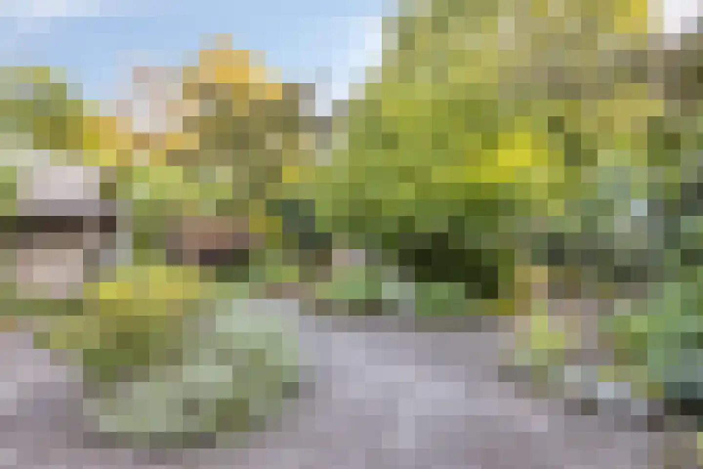 Eimerick 9 Eindhoven thumbnail 37