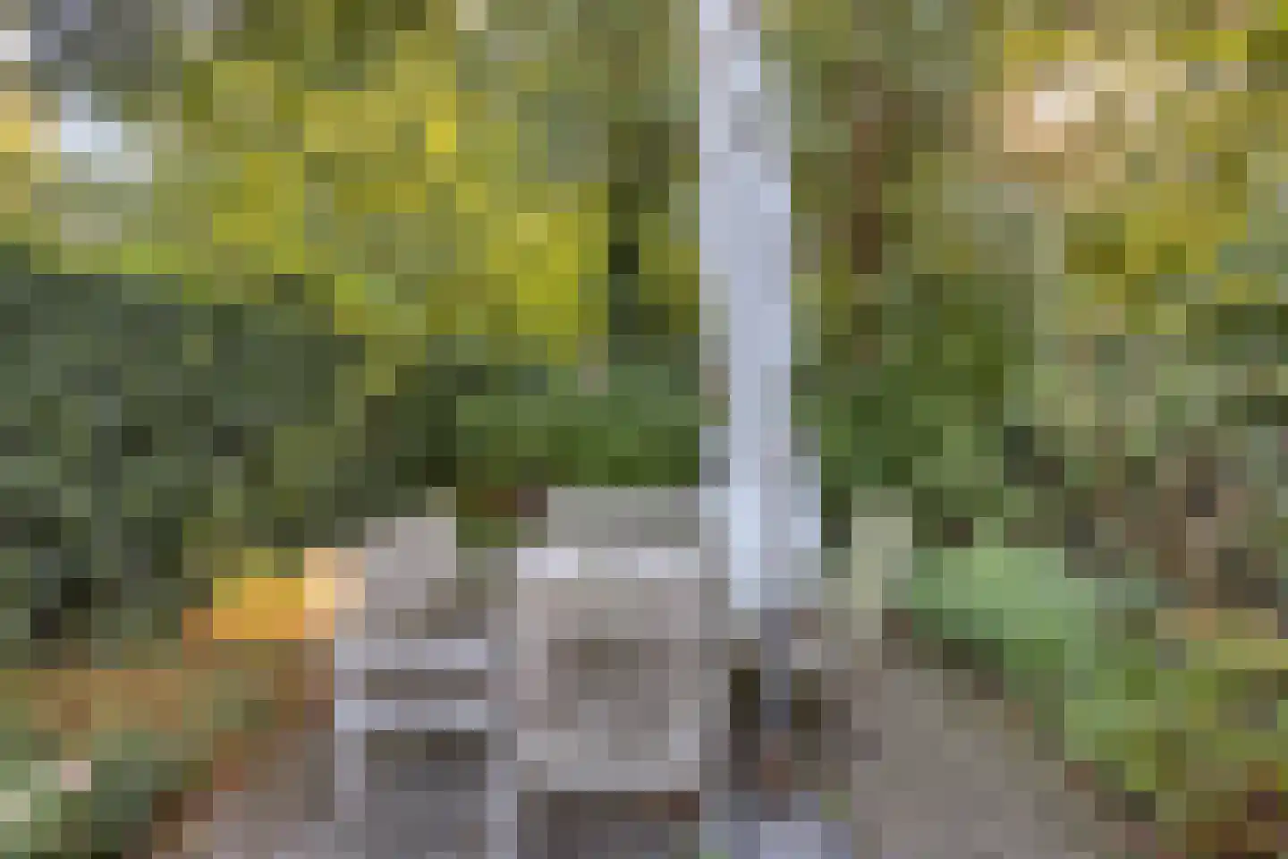 Eimerick 9 Eindhoven thumbnail 38