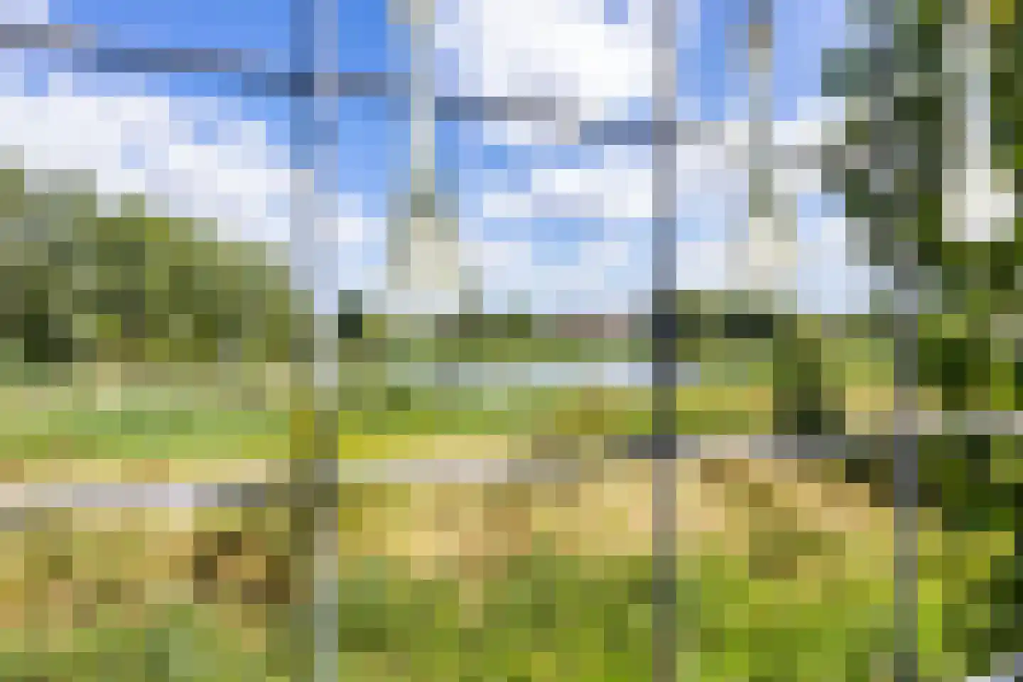 Eimersland 23 Arnhem thumbnail 30
