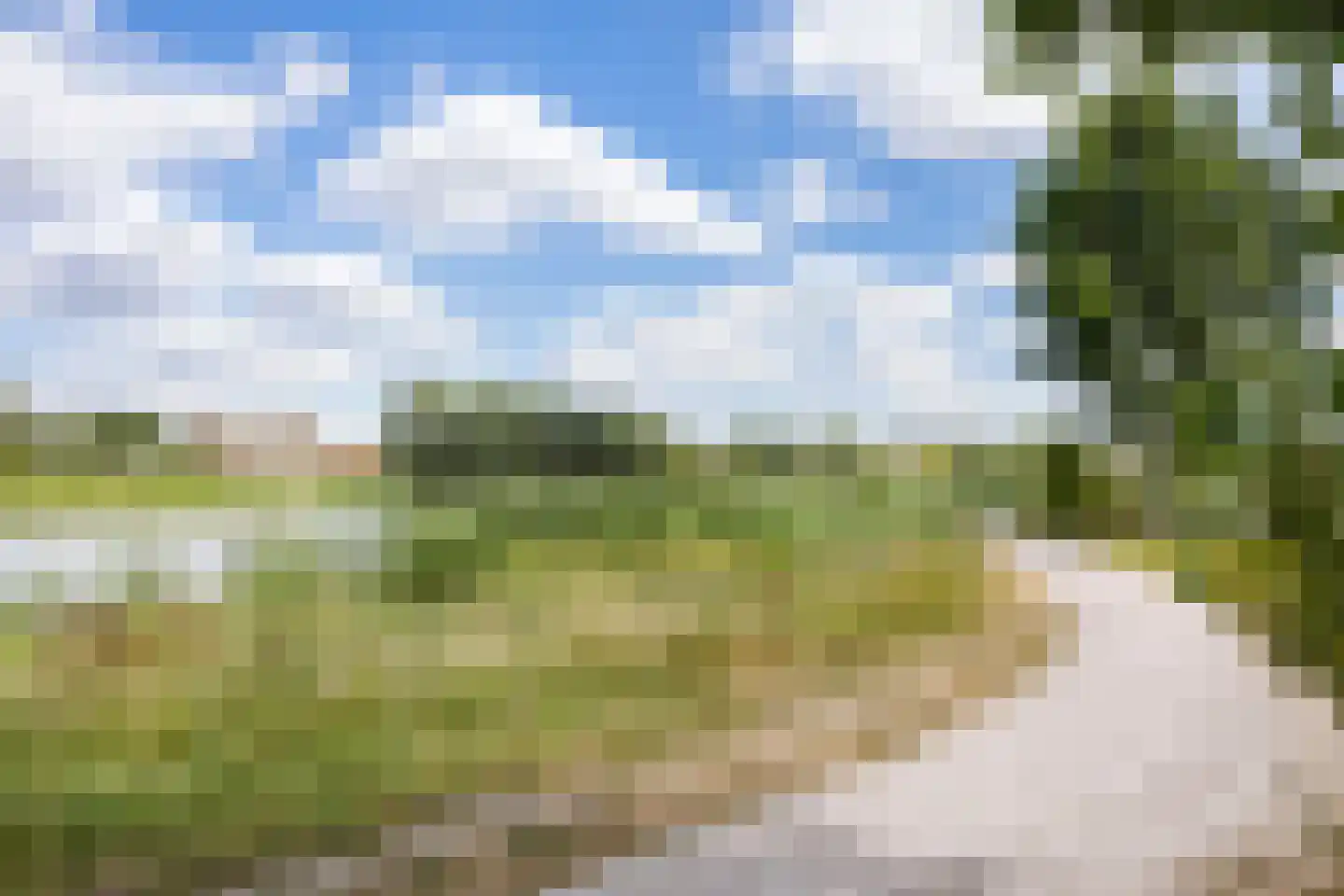 Eimersland 23 Arnhem thumbnail 34