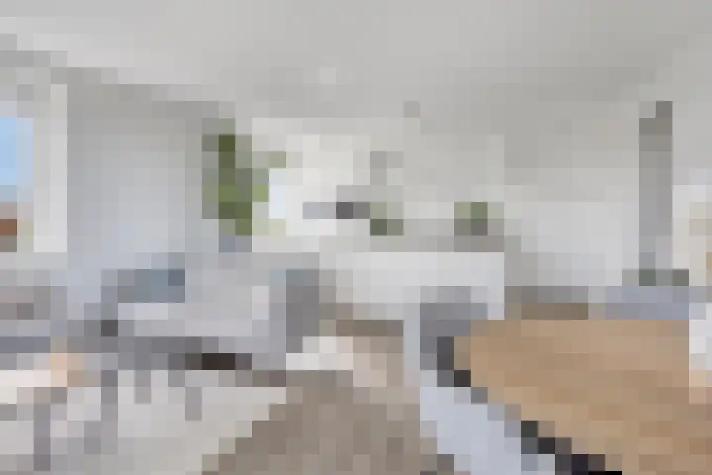 Eimersland 79 Arnhem thumbnail 15