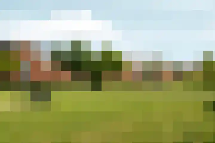 Eimerssingel-West 38 Arnhem thumbnail 10
