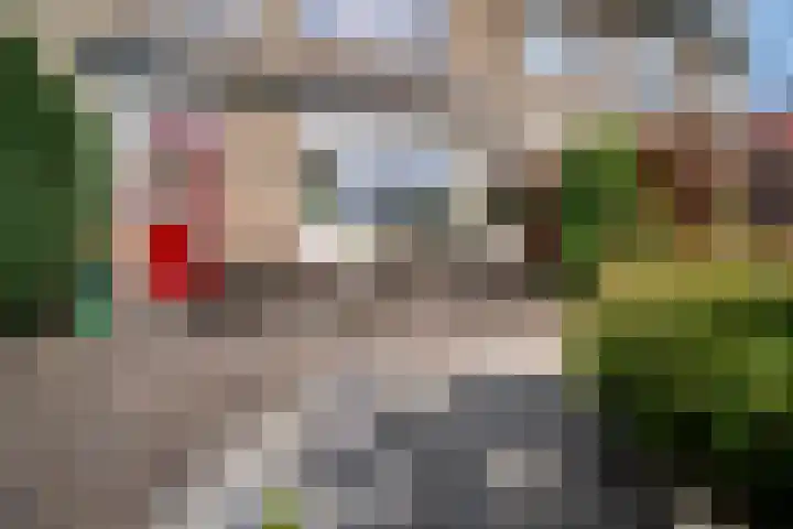 Eimerssingel-West 38 Arnhem thumbnail 17