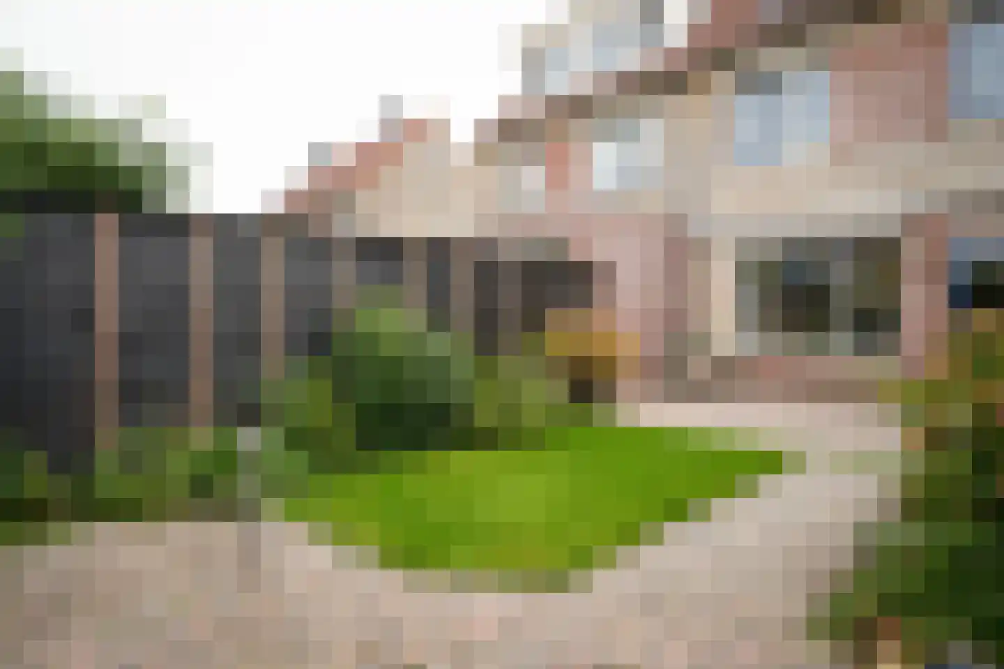 Eind 1 Ochten thumbnail 40
